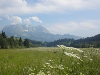 Krajina Wilder Kaiseru
